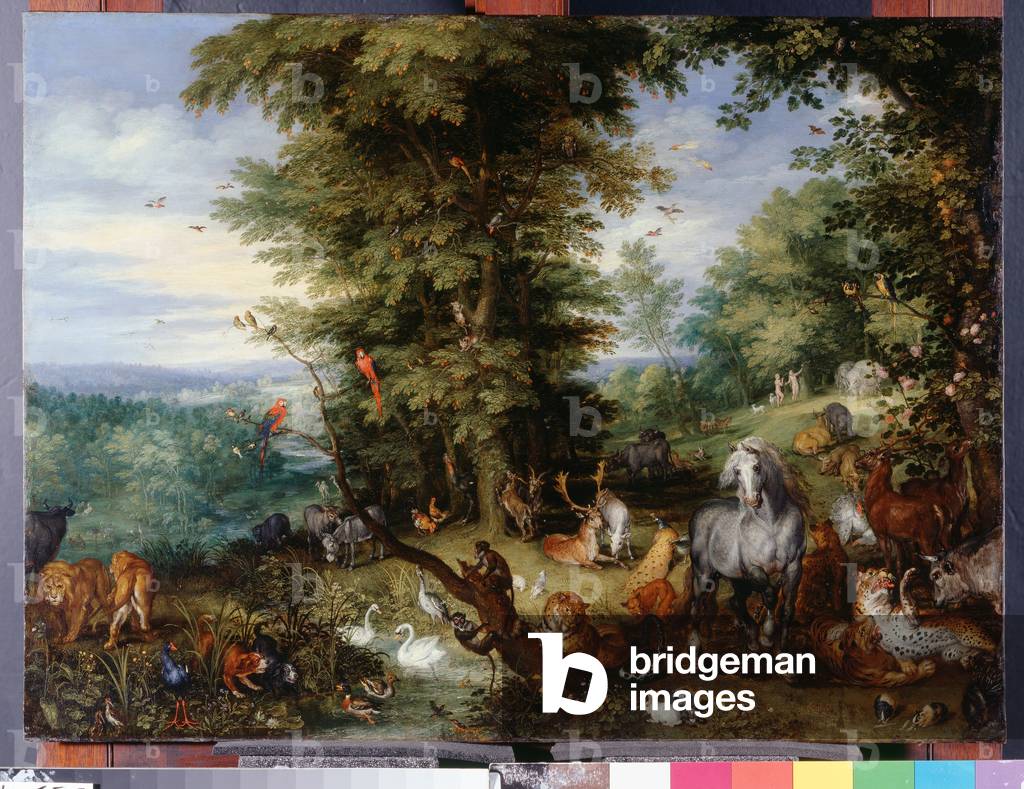 Image of Adam and Eve in the Garden of Eden, 1615 (oil by Brueghel, Jan ...