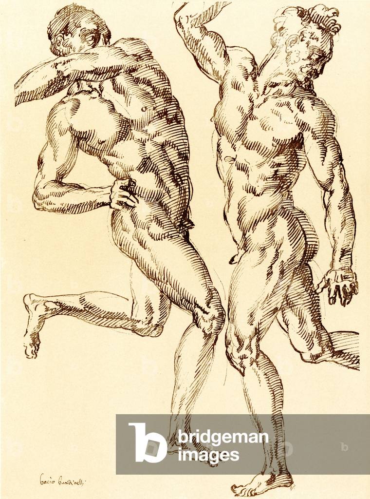 "due maschio nudo studi" di Baccio Bandinelli