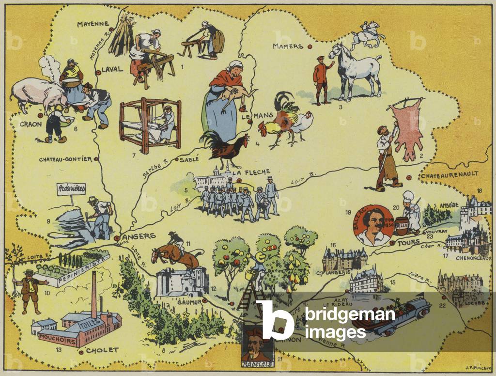 Maine-Anjou-Touraine (colore lito)