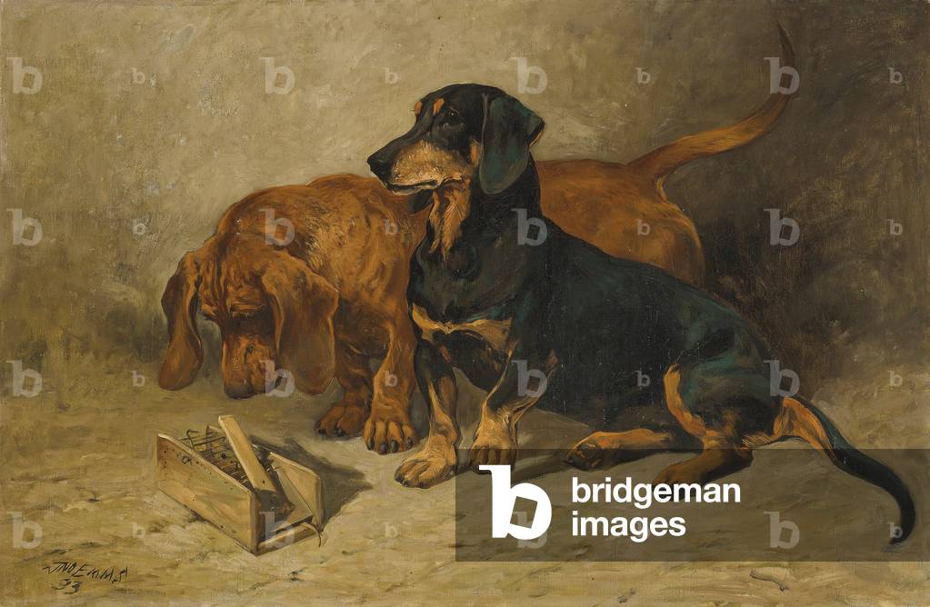 Dackel, 1993 (Öl auf Leinwand)