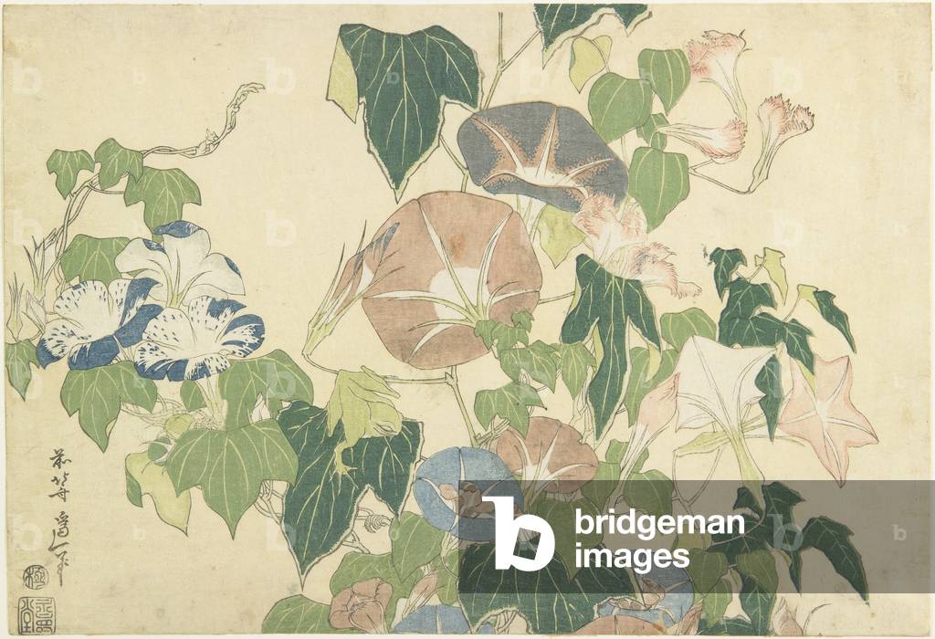 Bild von Druck "Morning Glories and Tree Frog", c.1832 von Katsushika Hokusai