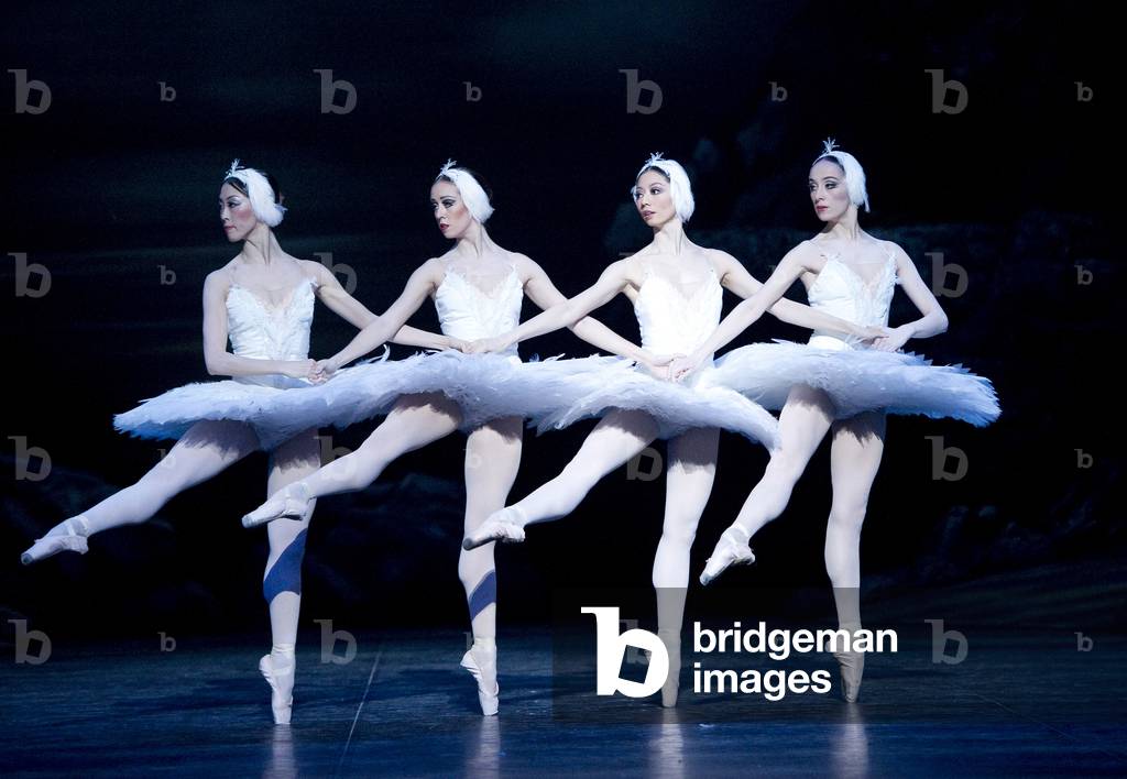 Image of Photography depicting Swan Lake by the English National Ballet (photo) by Tristam Kenton