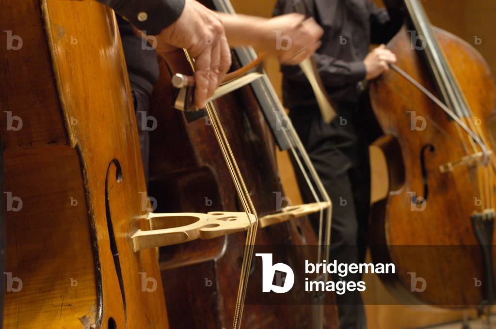 Immagine di Fotografia "Violoncellisti" di Michel Garnier