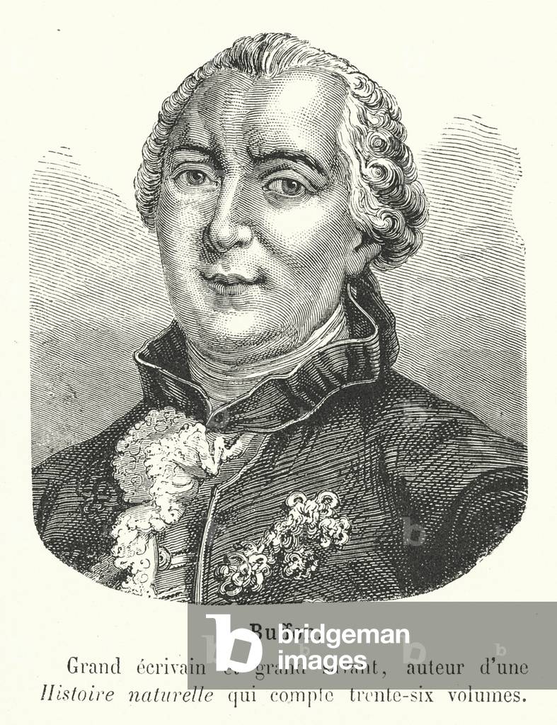 Image of Engraving depicting Buffon (engraving) 1880 by French Artist
