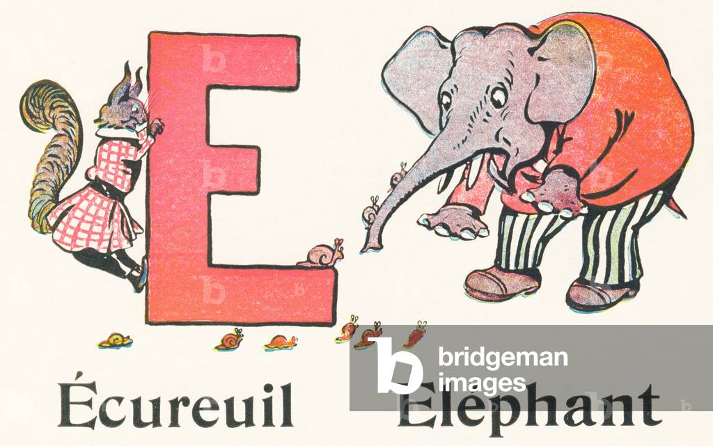 "E: Eichhörnchen" von Raymond de la Neziere