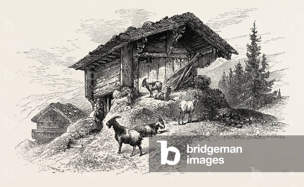Immagine di Incisione "Mountain Chalet", b/w