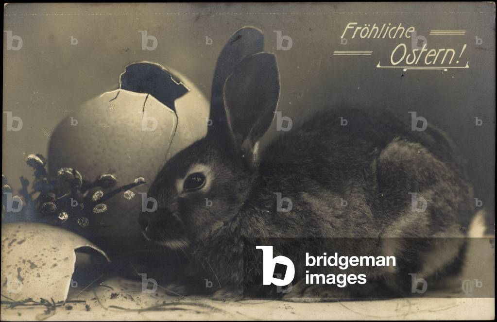 Glückwunsch Ostern, Hase, offenes Ei, Weidenkätzchen