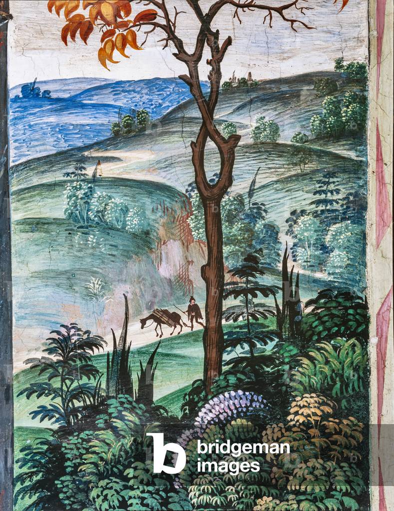 The Piccolomini Library by Bernardino di Betto Pinturicchio