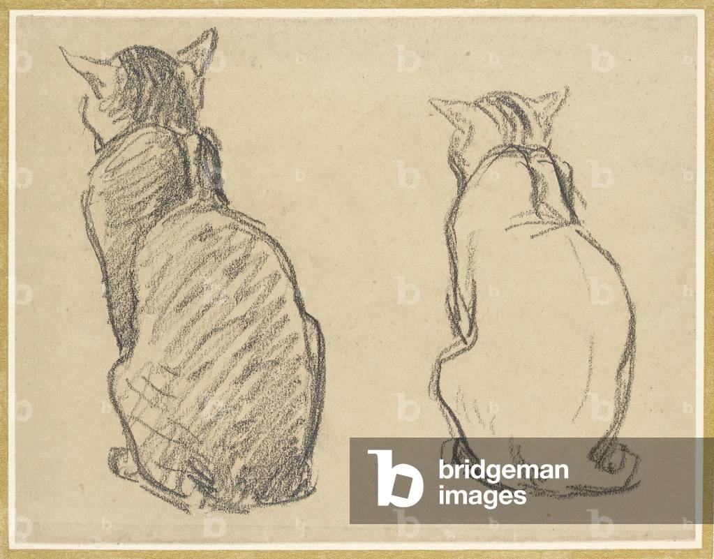 "due studi di un gatto (grafite su carta scolorita)" di Theophile Alexandre Steinlen, b/w