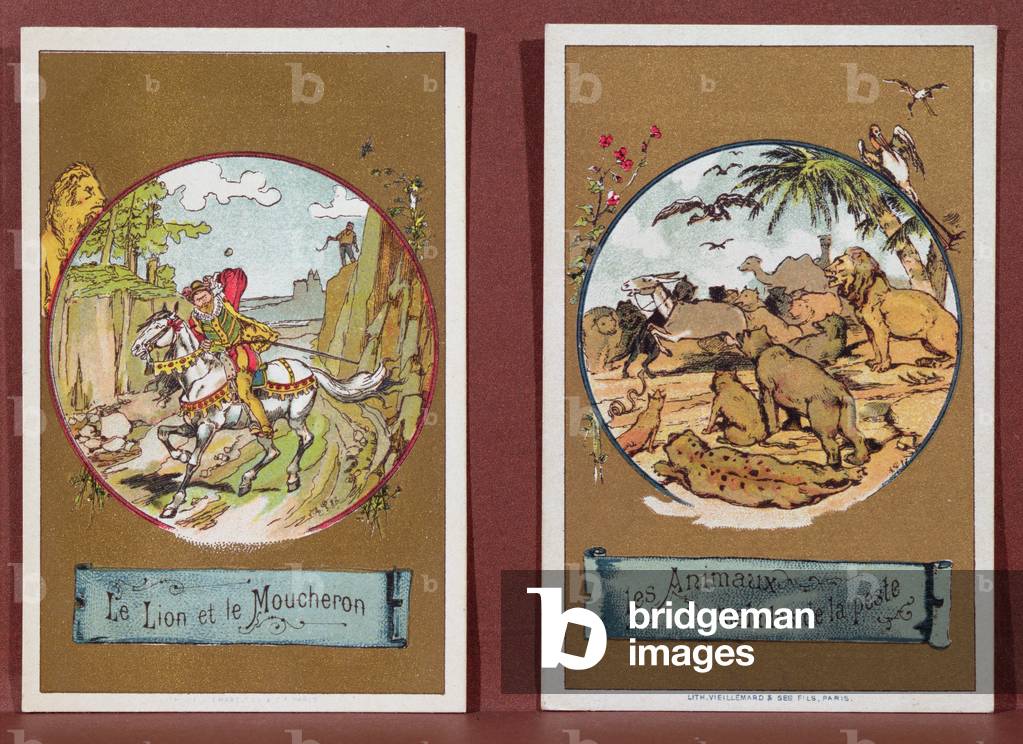 Il leone e il moscerino, e gli animali malati della peste, da 'Favole de la Fontaine' (incisione colorata)