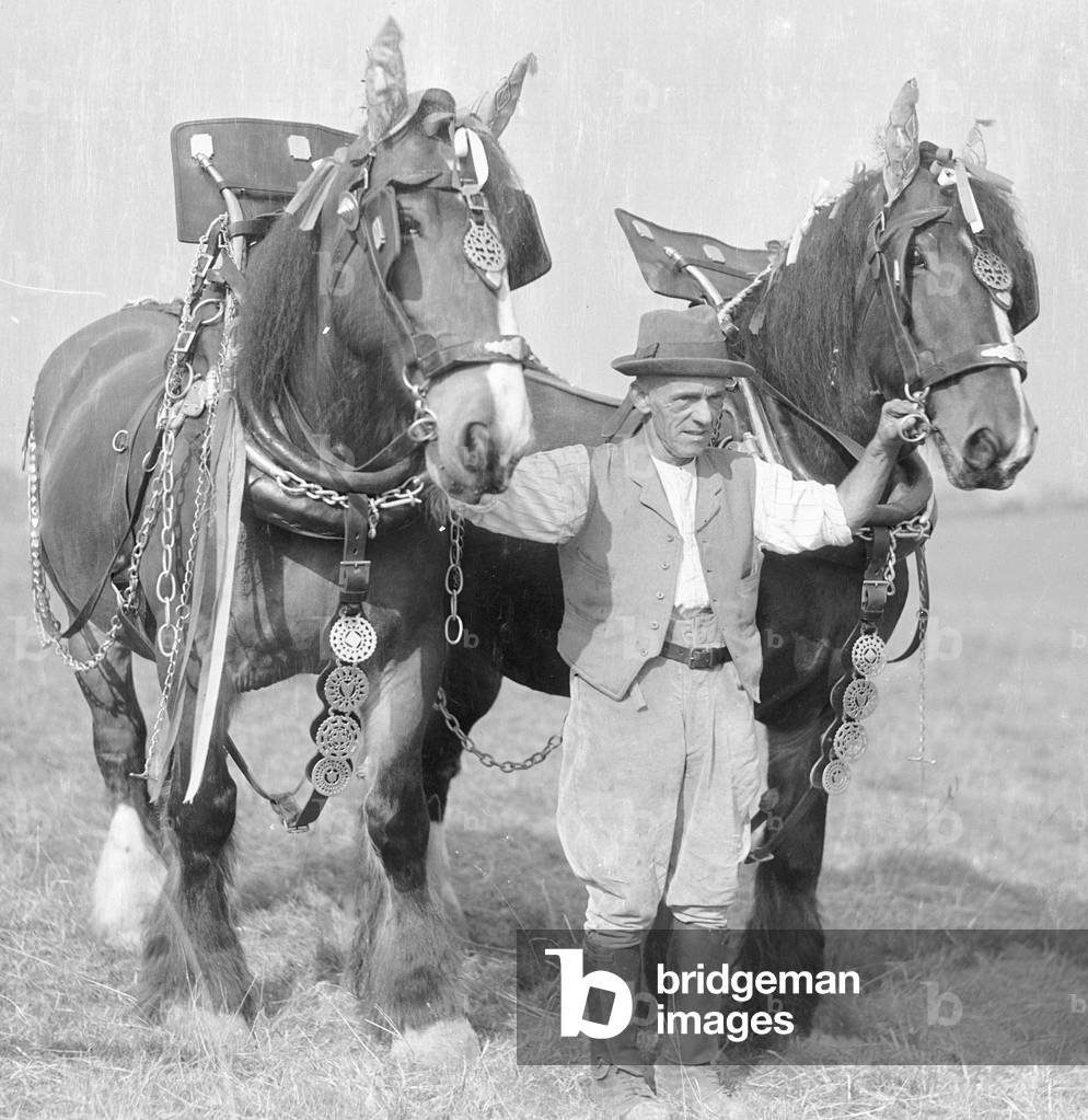Image of Ploughman with his team of heavy work horses. Circa 1930