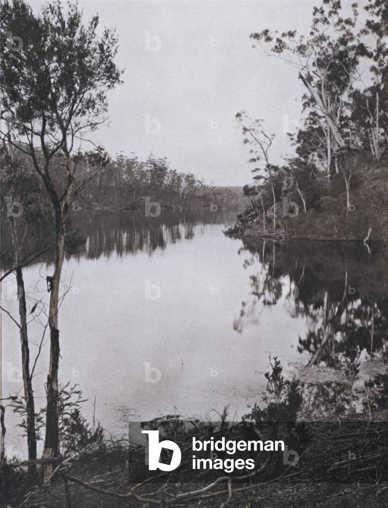 Lake Tyers, Gippsland (s/w Foto)