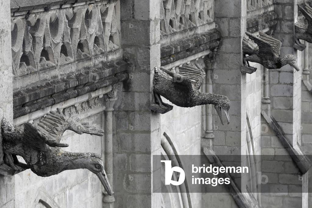 Image de Photographie représentant Basilique du vœu national (espagnol : Bas'lica del Voto Nacional)