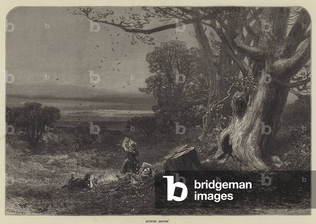 "Herbstblätter (Gravur)" 1873 von English School, b/w