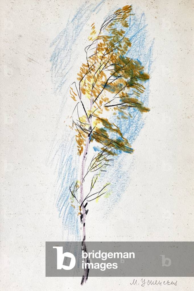 Immagine di Disegno "Betulla al vento" 1972 di Marina Uspenskaya