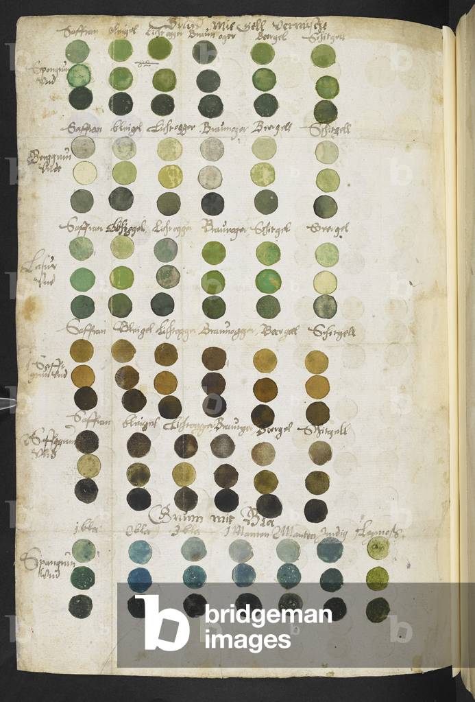 Bild von Manuskript "Seite aus dem Manuskript der Mayerne (MS 2052 f.81v)" 1620 von Theodore Turquet de Mayern
