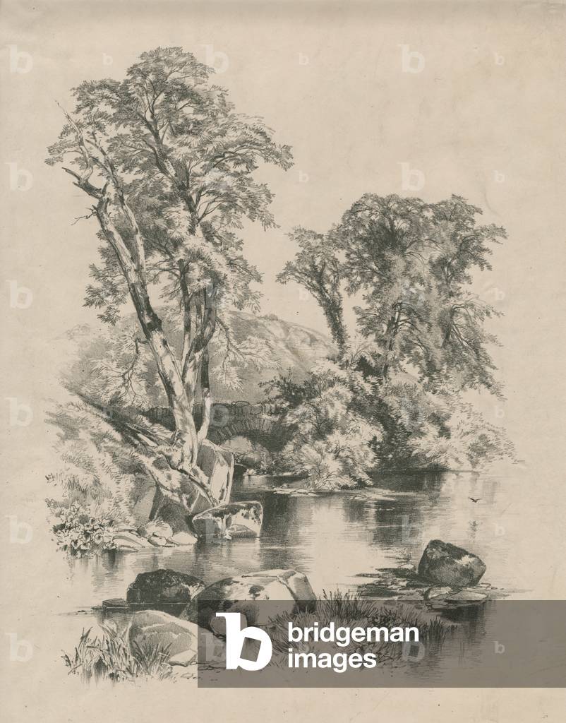 Bild von Druck "Der Wissahickon", 1869 von Thomas Moran
