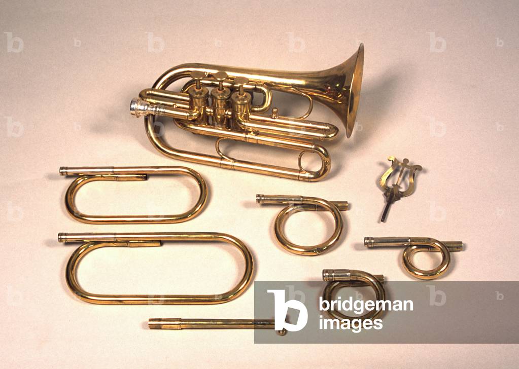 Image of Photography depicting Cornet with valves by Odile Noel