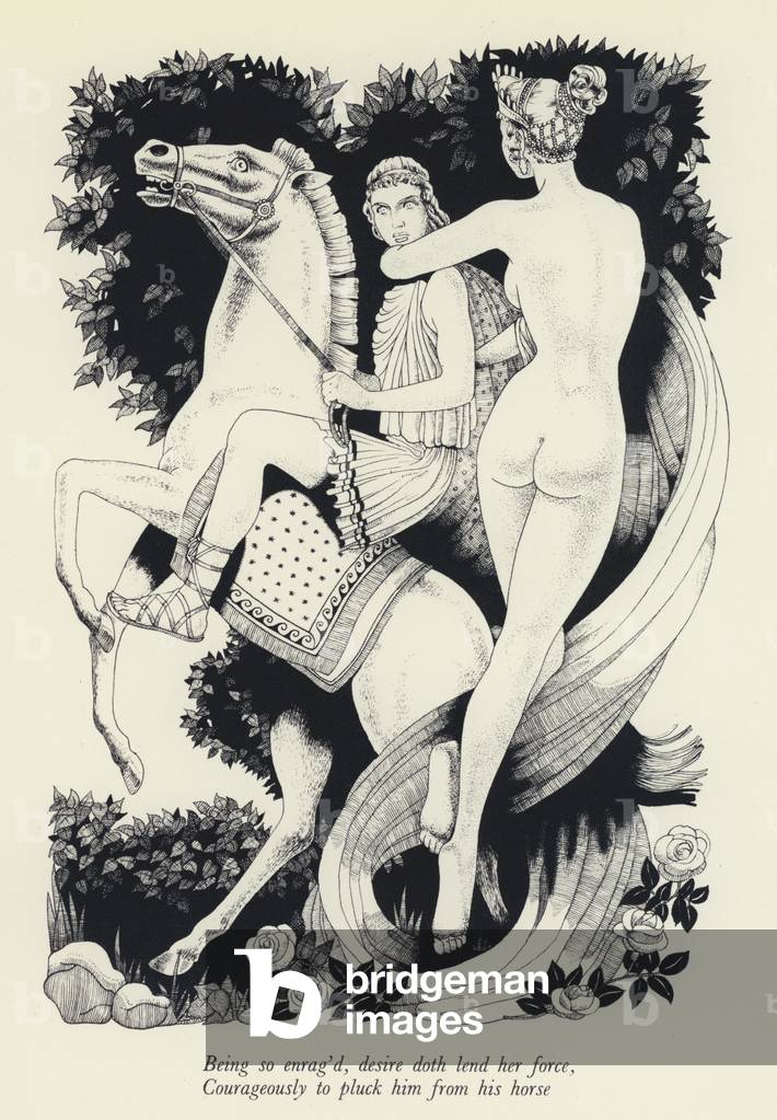 Illustrazione per Venere e Adone di Shakespeare (lito)