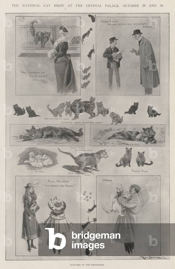 Image of The National Cat Show at the Crystal Palace, 29 and by Cleaver ...