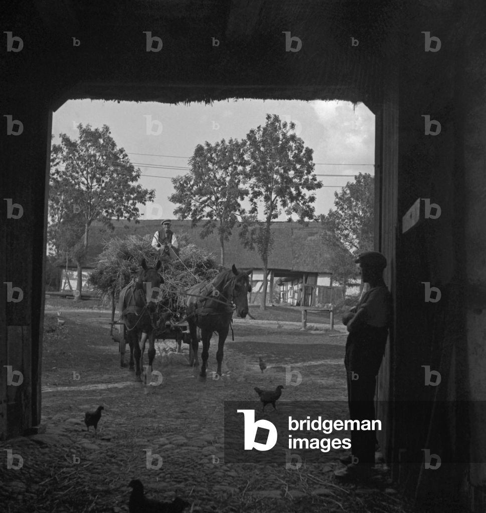 Immagine di Fotografia "Veicolo a cavallo" 1930