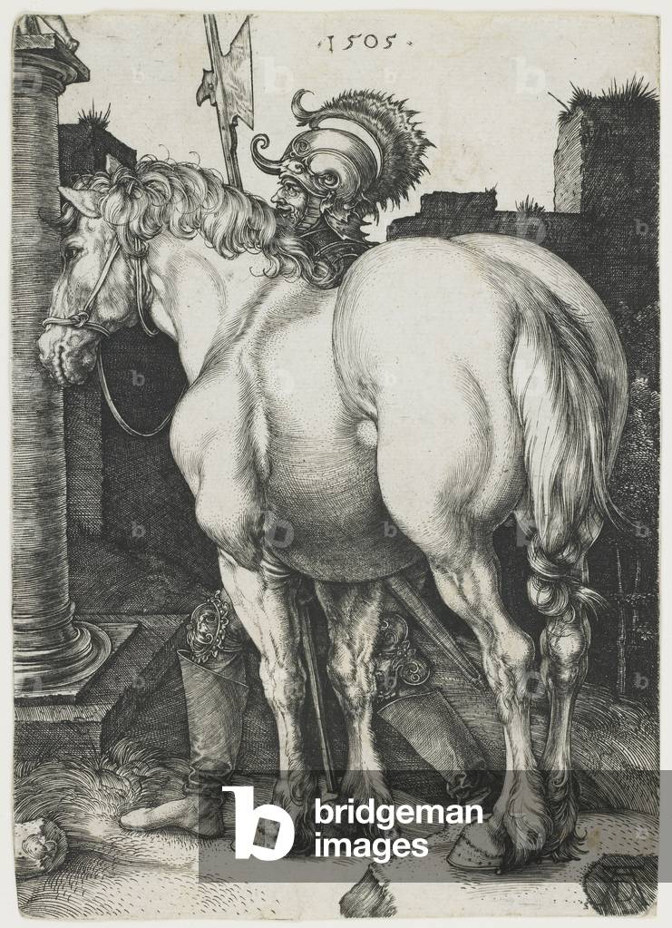 il grande cavallo, 1505