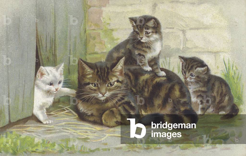 Image of Print depicting Tabby cat with three kittens (chromolitho) 1900 by European Artist