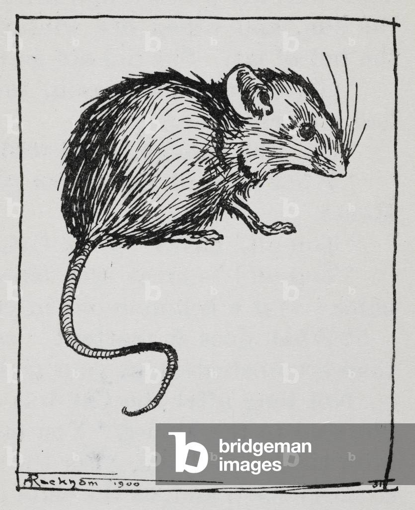 "Eine Maus" von Arthur Rackham, b/w