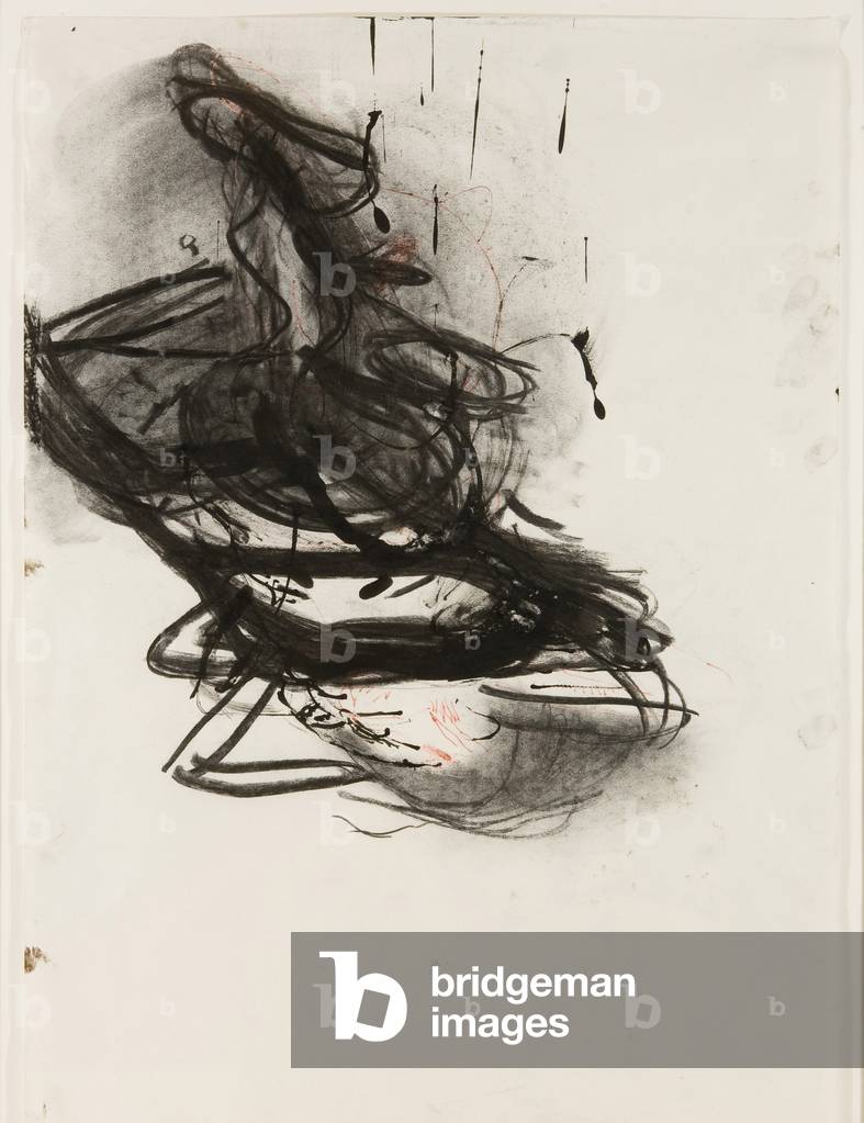 Elizabeth sdraiata con l'uccello rosso (carboncino su carta)