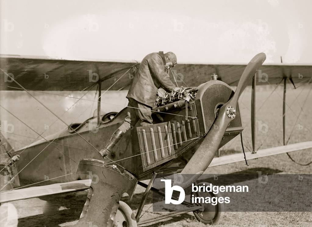 Image of Lindley (photo)