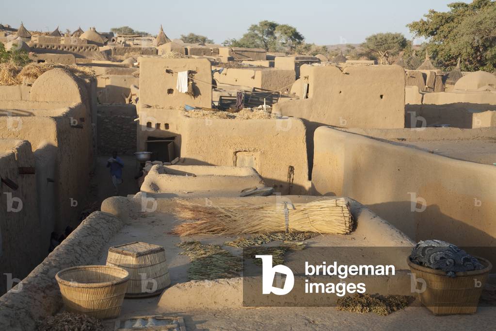 Dogon Village (foto)