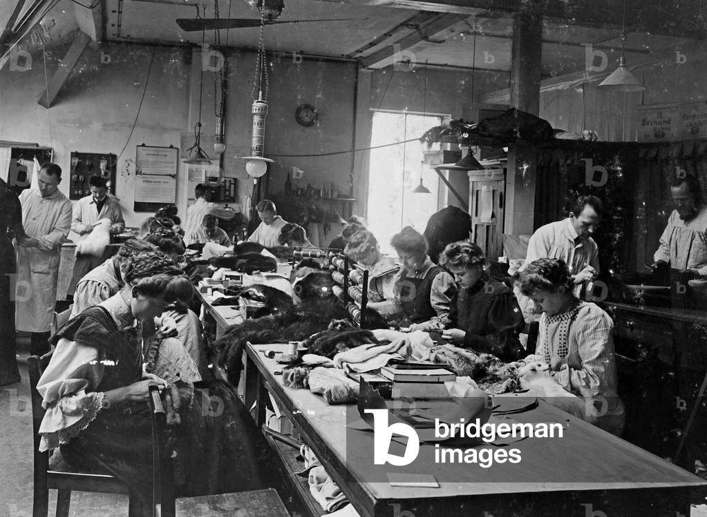 Immagine di Fotografia "Giovani donne e uomini in una fabbrica di pellicce" 1903