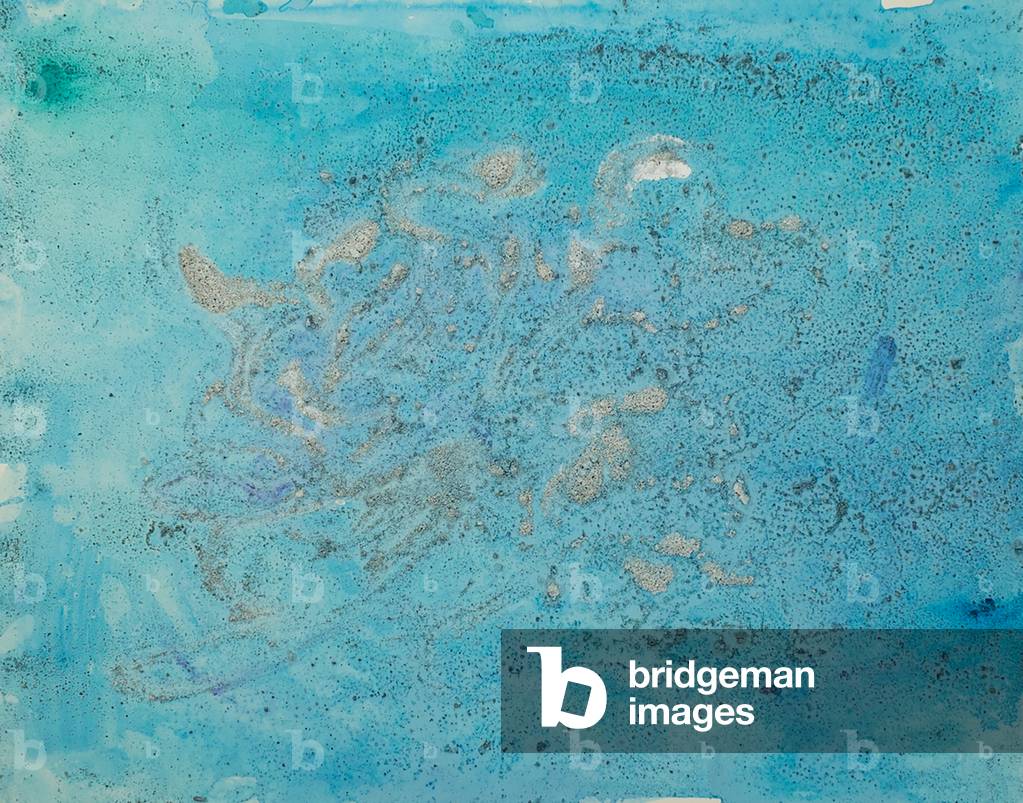 Antartico Ice Painting: A57, 2008 (ghiaccio antartico, acrilico, e tecnica mista su carta)