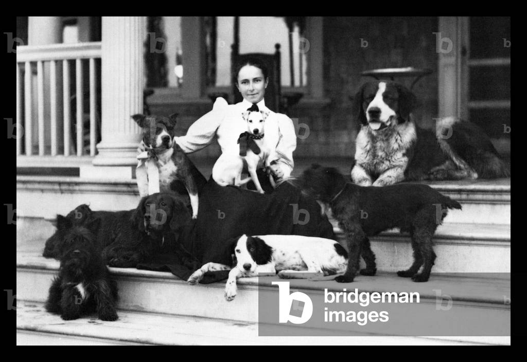 Bild von Fotografie "Frau. Patten und ihre sieben Hunde 1900 (Foto)", b/w