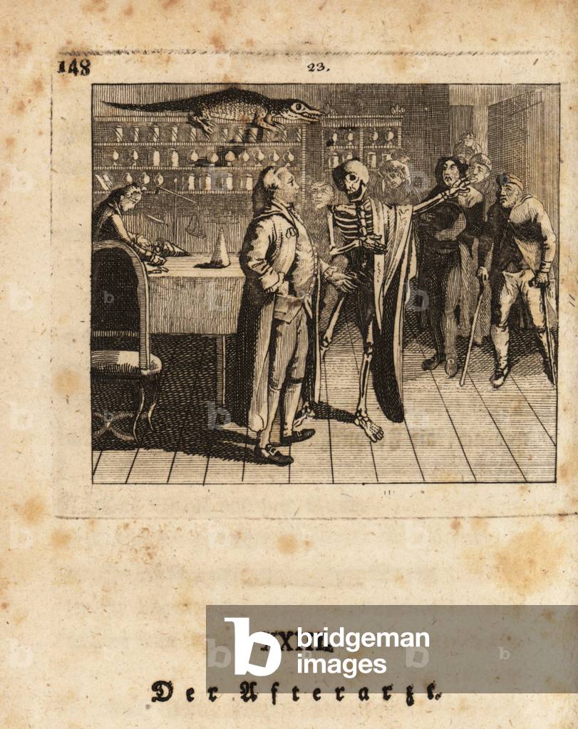 Image of Engraving depicting  1803 by Johann Rudolf Schellenberg