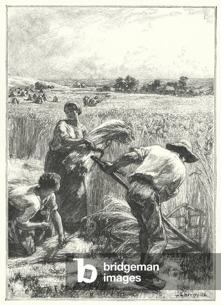 La Moisson (incisione)