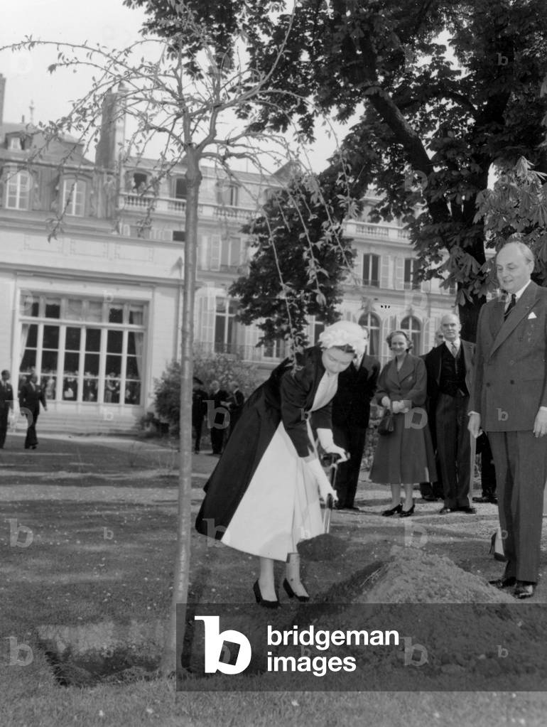 La reine Élisabeth II d'Angleterre plantant un arbre devant l'ambassade d'Angleterre à Paris, le 8 avril 1957 