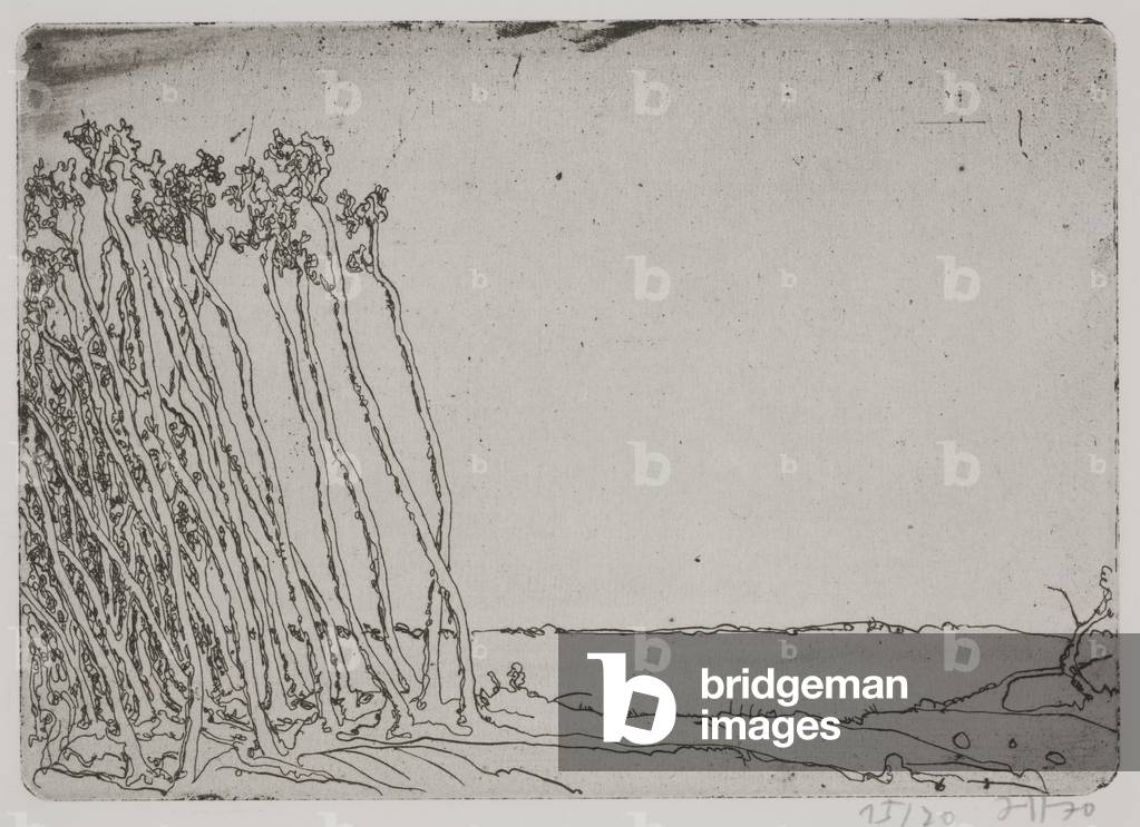 Landschaften, or Landscapes, 1970 (etching)