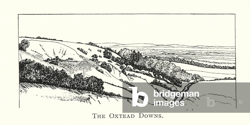 Die Oxtead Downs (Litho)