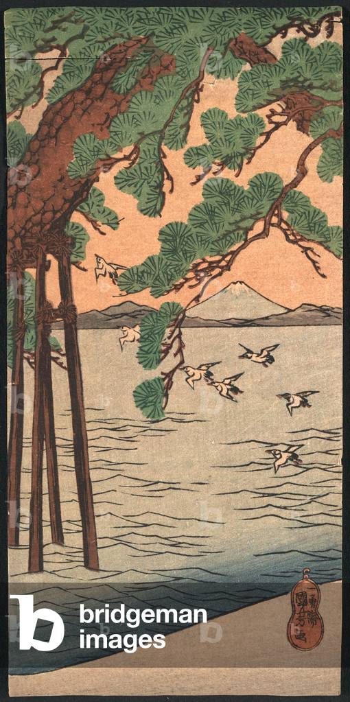 Kisibe No Matsu, Pinie an der Küste. [Zwischen 1820 und 1860, später gedruckt], 1 Druck: Holzschnitt, Farbe; 1