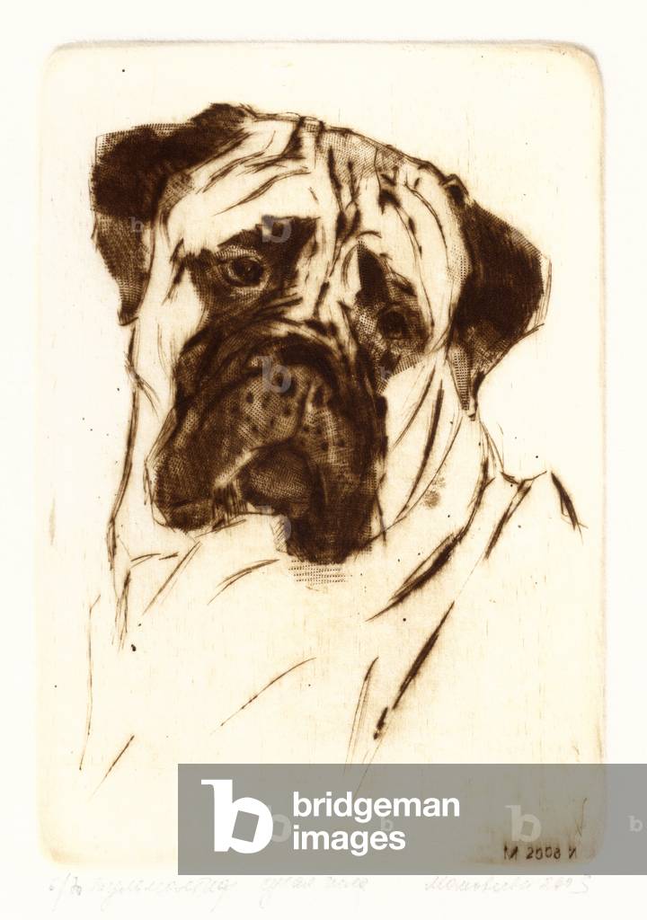 Image of Engraving depicting Bull Mastiff, 2003 by Irina Makoveeva