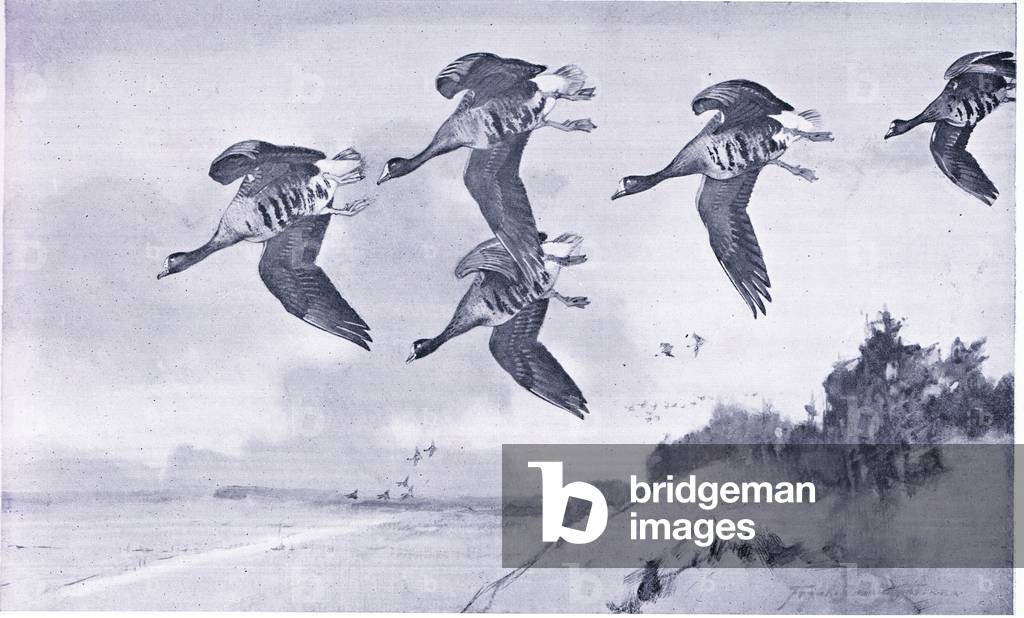 Über den Sandhügeln (litho)