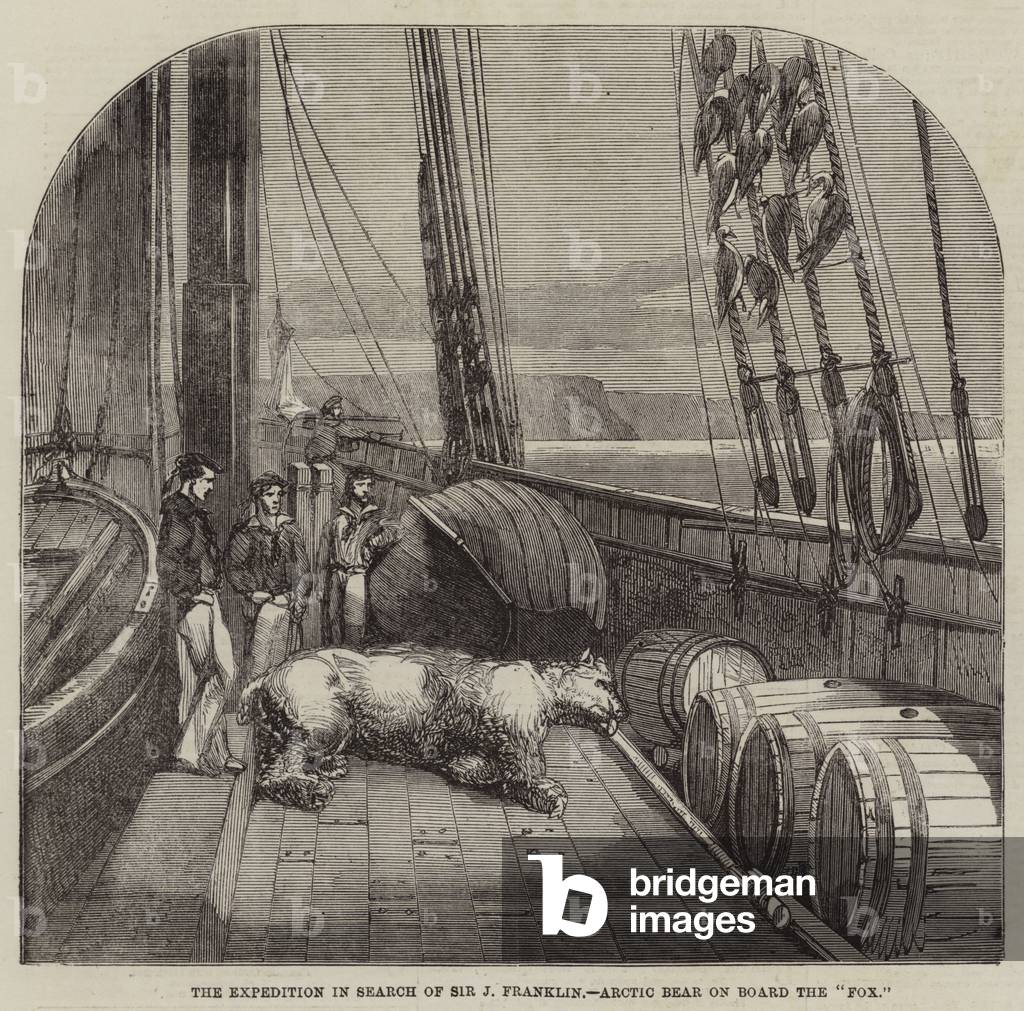 "Die Expedition auf der Suche nach Sir J Franklin" von English School, b/w