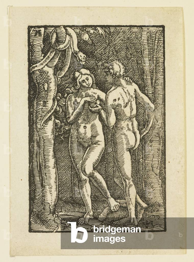 "Adam und Eva essen die verbotene Frucht", c.1513 von Albrecht Altdorfer, b/w