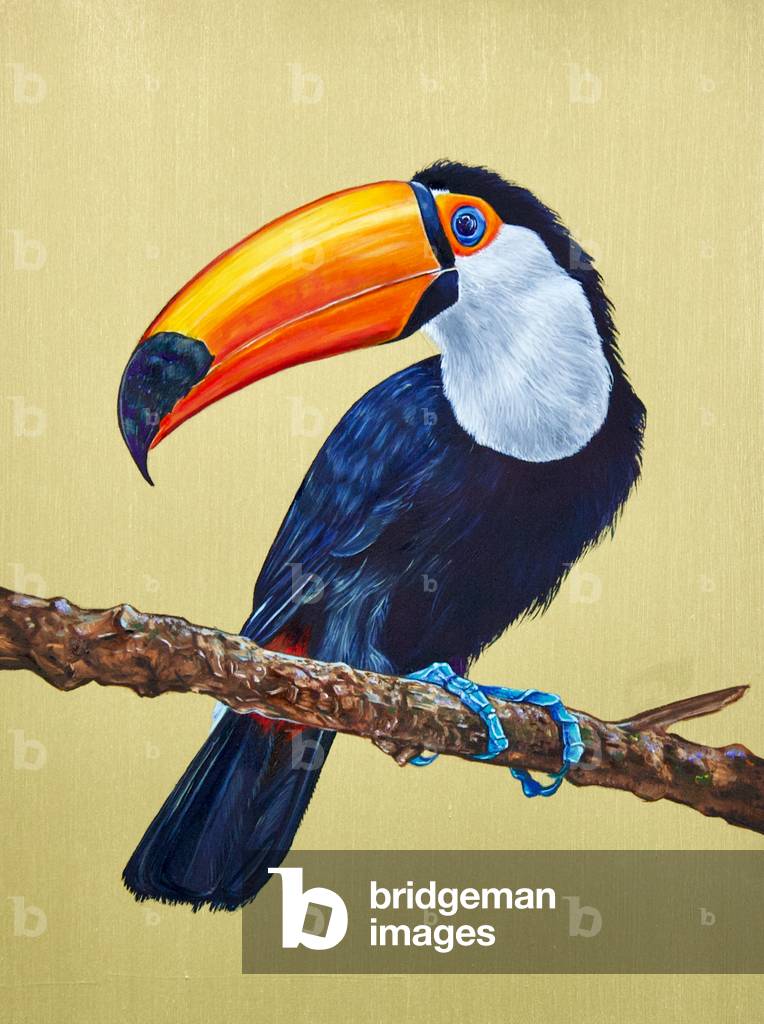 Image de Peinture représentant Toucan 2022 par Victoria Heald