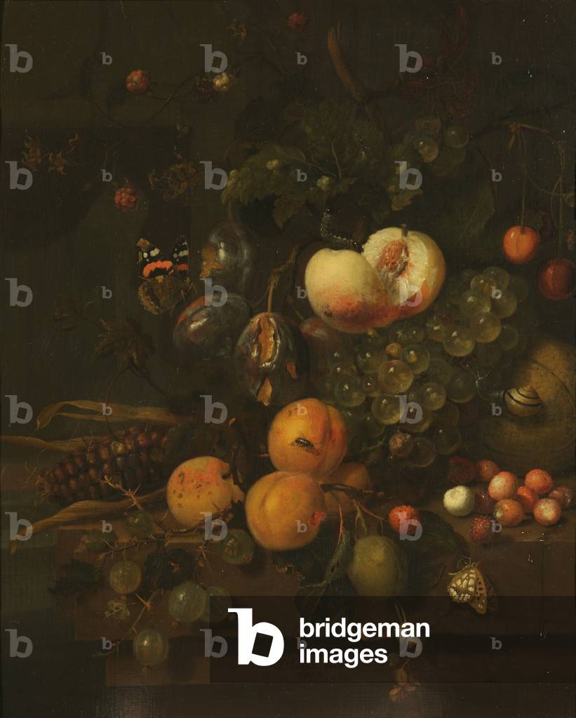 Image of Painting depicting Fruit on a Stone Ledge by Jan Mortel, b/w