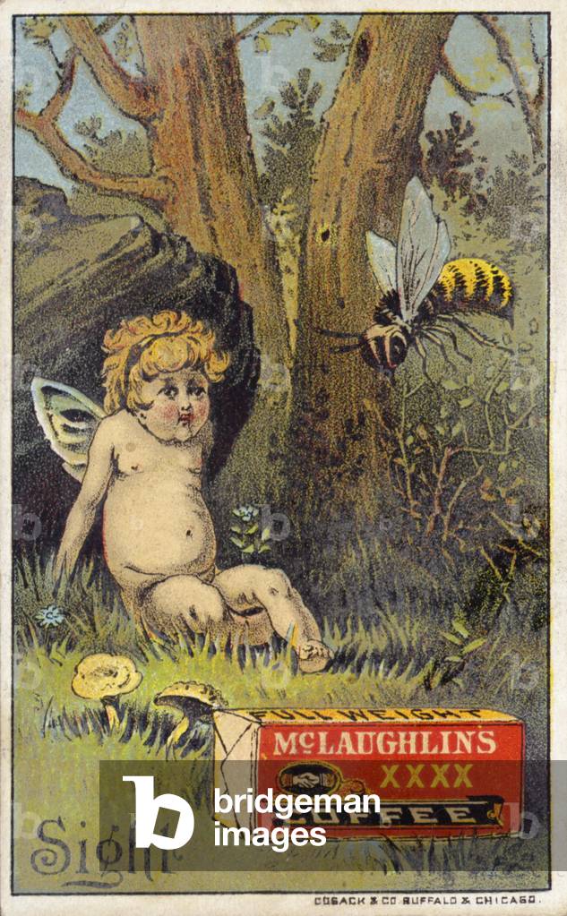 "Biene greift Putto an (Chromolitho)" von American School