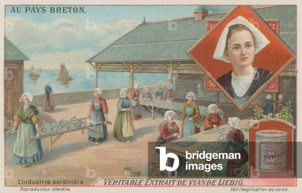 "Frauen" von European School