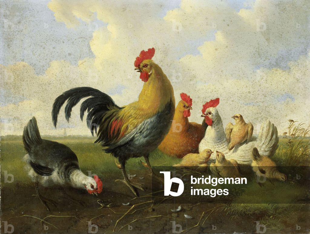 Un gallo con galline e pulcini, 1855 (olio su tela)