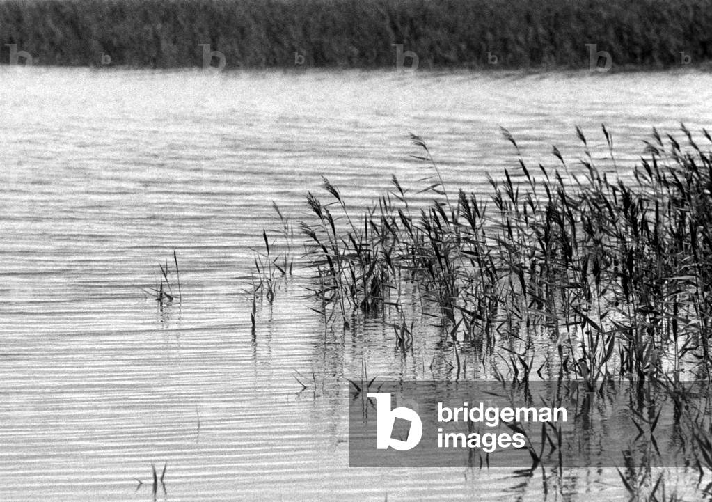 BRITTEN - SNAPE MALTINGS, 1998